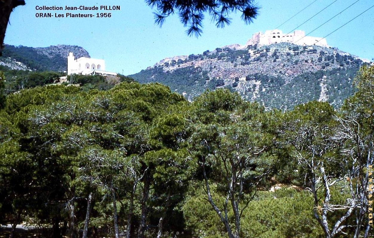 Oran - Planteurs - 1956.jpg